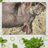 かわいい豚 キッチンタオル (折り畳み)