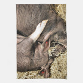 かわいい豚 キッチンタオル (縦)