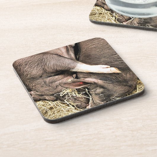 かわいい豚 コースター (左側)