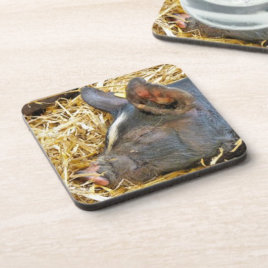 かわいい豚 コースター (左側)