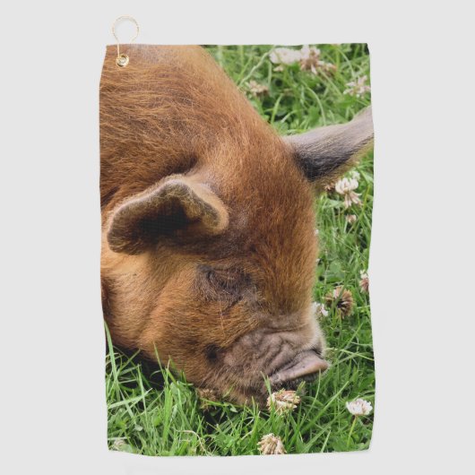 かわいい豚 ゴルフタオル (正面)