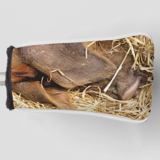 かわいい豚 ゴルフヘッドカバー (正面)