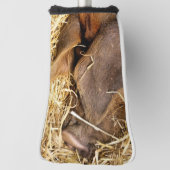 かわいい豚 ゴルフヘッドカバー (回転90)