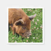 かわいい豚 スタンダードカクテルナプキン (正面)