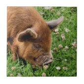 かわいい豚 タイル (正面)