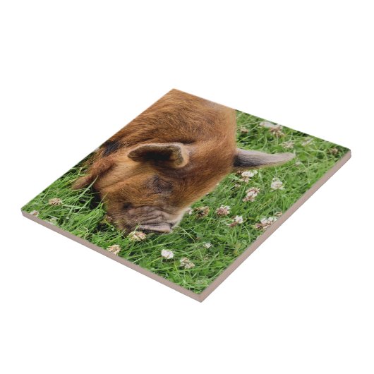 かわいい豚 タイル (側面)