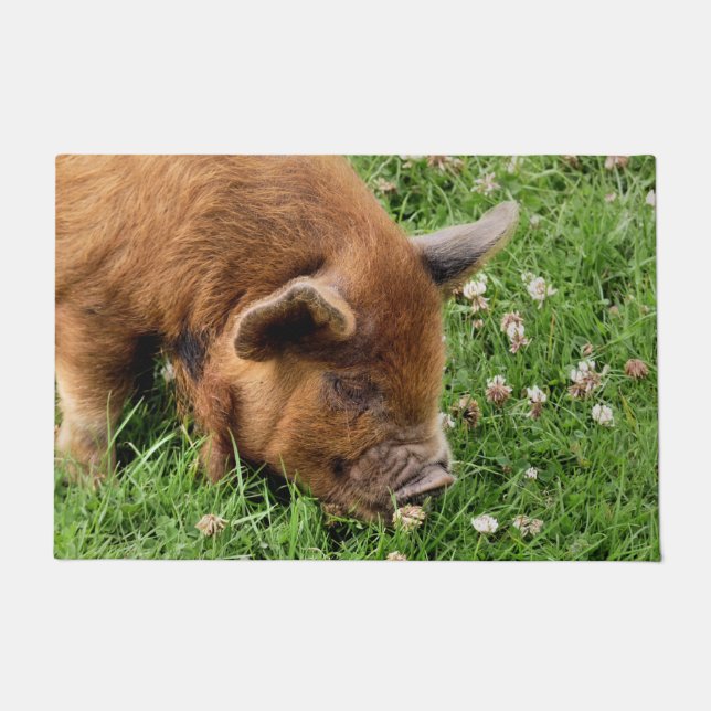 かわいい豚 ドアマット (正面)