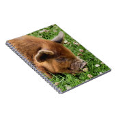 かわいい豚 ノートブック (右側)