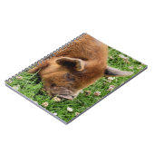 かわいい豚 ノートブック (左側)