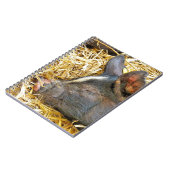 かわいい豚 ノートブック (左側)