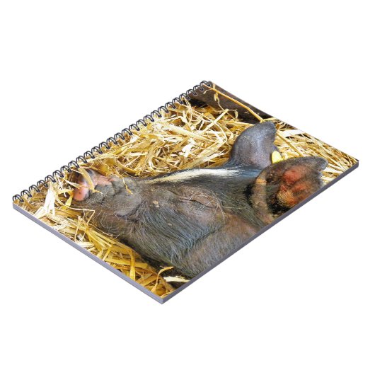 かわいい豚 ノートブック (左側)