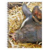 かわいい豚 ノートブック (正面)