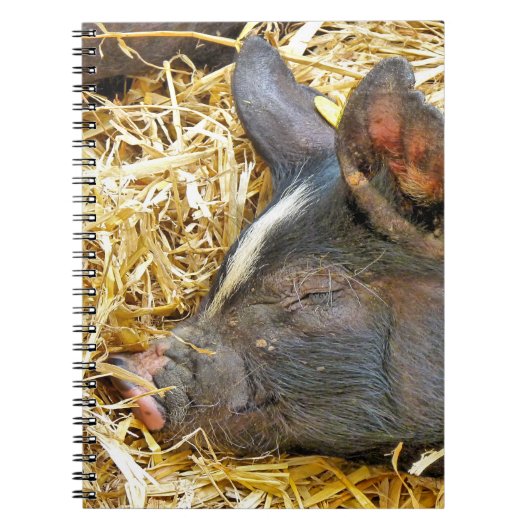 かわいい豚 ノートブック (正面)