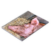 かわいい豚 ノートブック (左側)