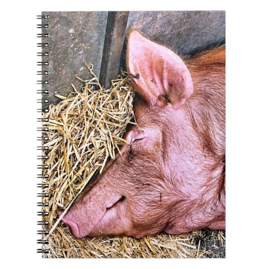 かわいい豚 ノートブック (正面)