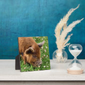 かわいい豚 フォトプラーク (インサイチュ)