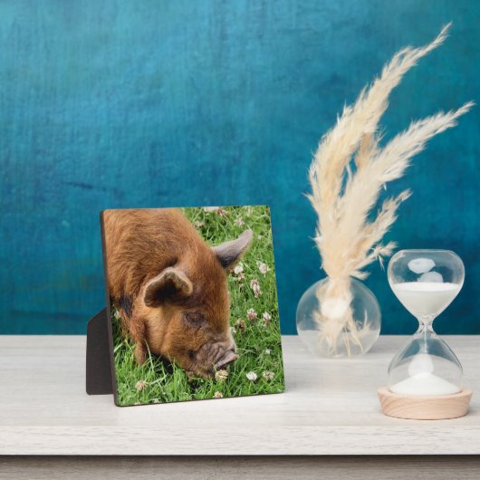 かわいい豚 フォトプラーク (インサイチュ)