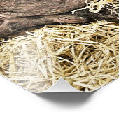 かわいい豚 フォトプリント            (角)