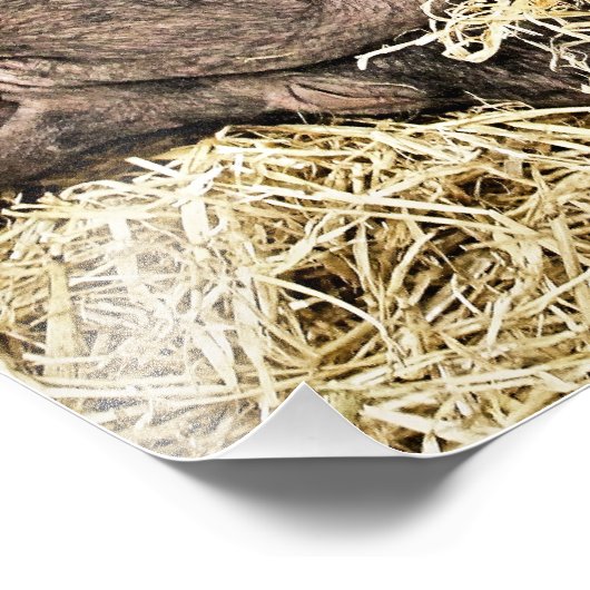 かわいい豚 フォトプリント            (角)