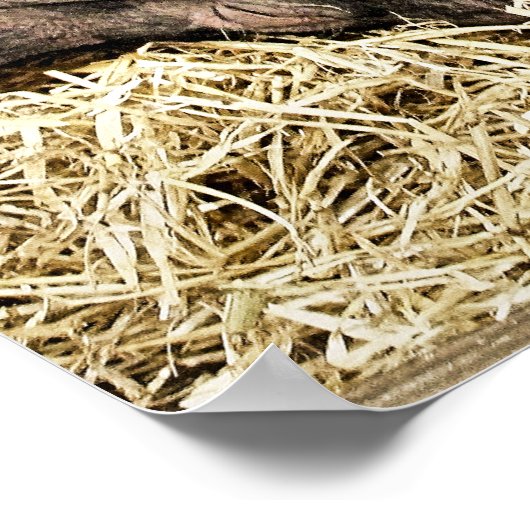 かわいい豚 ポスター (角)