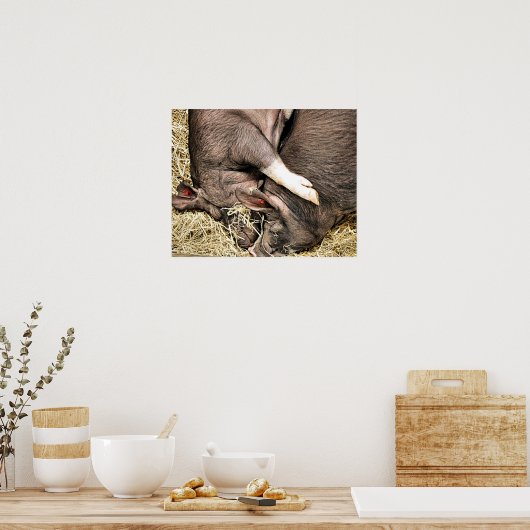 かわいい豚 ポスター (キッチン)