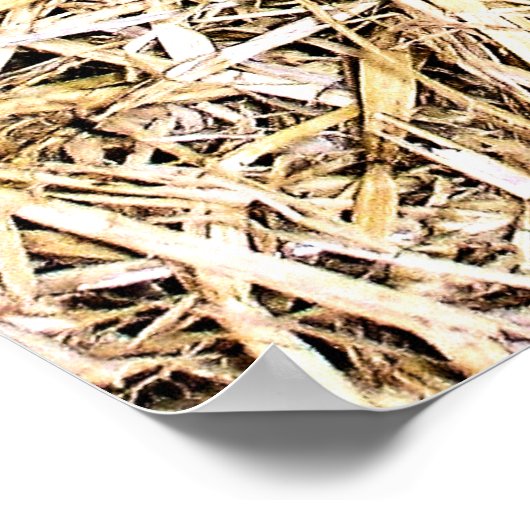 かわいい豚 ポスター (角)