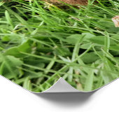 かわいい豚 ポスター (角)