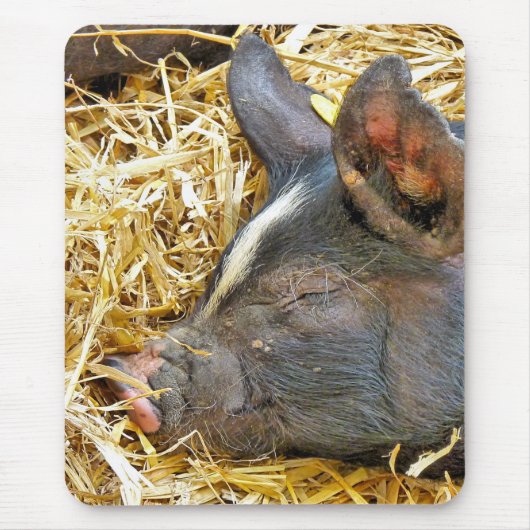 かわいい豚 マウスパッド (正面)