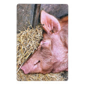 かわいい豚 ミニクリップボード (裏面)