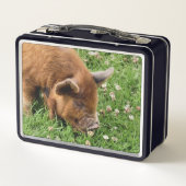 かわいい豚 メタルランチボックス (裏面)