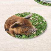 かわいい豚 ラウンドペーパーコースター (アングル)