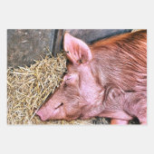 かわいい豚 ラッピングペーパーシート (正面2)