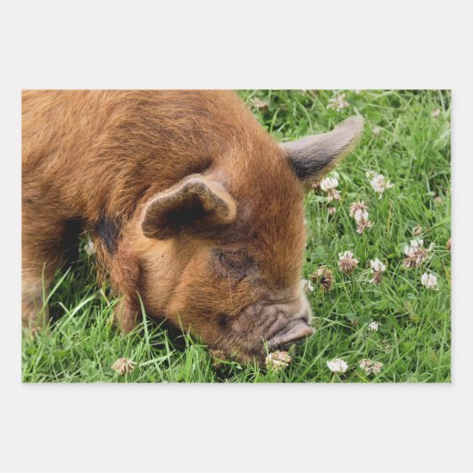 かわいい豚 ラッピングペーパーシート (正面)