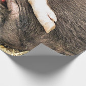 かわいい豚 ラッピングペーパー (角)