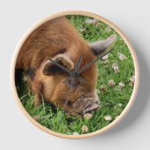 かわいい豚 壁時計 (正面)