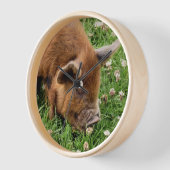 かわいい豚 壁時計 (傾斜)