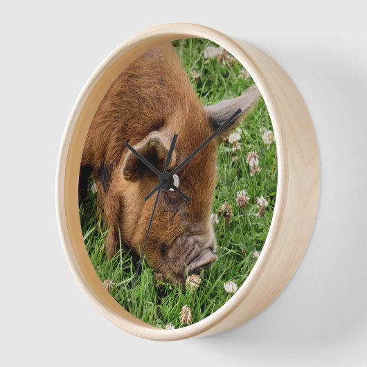 かわいい豚 壁時計 (傾斜)