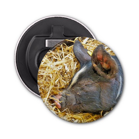 かわいい豚 栓抜き (正面)