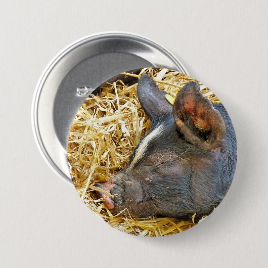 かわいい豚 缶バッジ (正面&裏面)