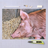 かわいい豚 薄葉紙 (クラフト)