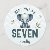 かわいい象の虎7-8ヶ月ベビーマイルストーンのサイン (正面)