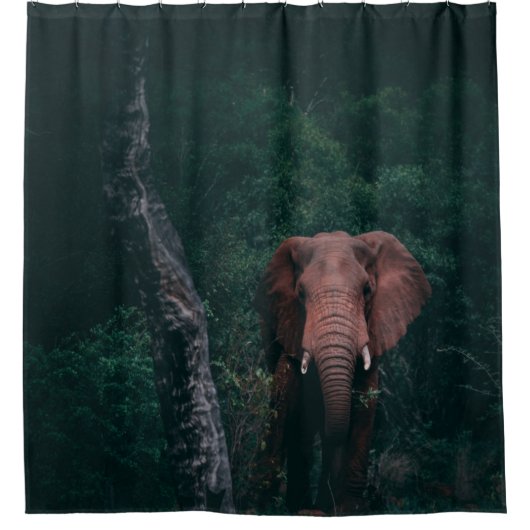 かわいい象 シャワーカーテン (正面)