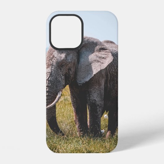 かわいい象 iPhoneケース (裏面)