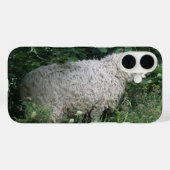 かわいい貪欲な羊のiPhoneケース Case-Mate iPhoneケース (裏面 (横))