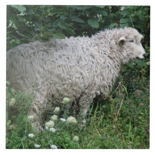 かわいい貪欲な羊食べ物のタイル タイル (正面)