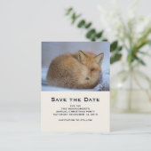 かわいい赤いキツネカール冬の写真デートを保存 インビテーションポストカード (スタンド正面)