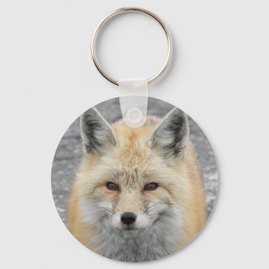 かわいい赤いキツネ野生生物写真 キーホルダー (正面)