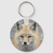 かわいい赤いキツネ野生生物写真 キーホルダー (裏面)