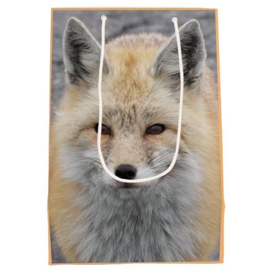 かわいい赤いキツネ野生生物写真 ミディアムペーパーバッグ (裏面)