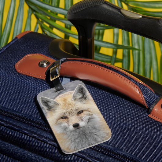 かわいい赤いキツネ野生生物写真 ラゲッジタグ (正面インサイチュ1)